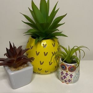 Decorated succulent trio